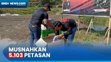 Hasil Razia, Tim Gegana...