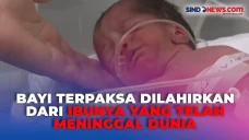 Bayi Lahir Beberapa...