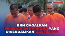 BNN Bongkar Peredaran...