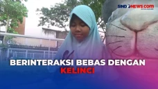 Berwisata ke Taman Kelinci...