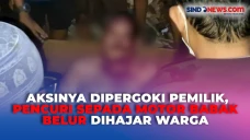 Dipergoki Pemilik saat...