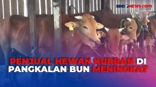 Penjual Hewan Kurban...