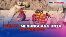 Sensasi Keliling Menunggang...