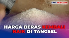 Pedagang Mengaku Pasokan...