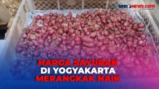 Harga Sayuran di Yogyakarta...