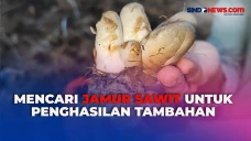 Warga Bangka Mencari...