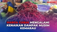 Harga Cabai di Pasar...