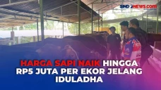 Jelang Hari Raya Kurban,...