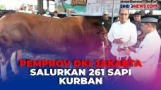 Jelang Iduladha, Pemprov...