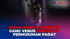 Mengintip Warga Tambora...