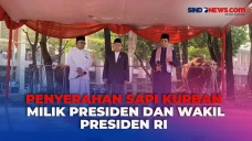 Momen Wapres Maruf Amin...