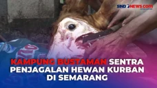 Mengenal Kampung Bustaman,...