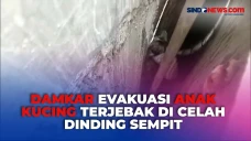 Detik-Detik Damkar Evakuasi...