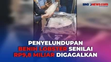 Bawa Puluhan Ribu Benih...