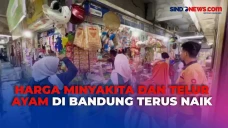 Pembeli Mengeluh! Harga...