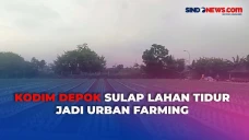 TNI Sukses Ubah Lahan...