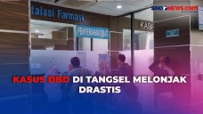 Waspada! Kasus DBD di...