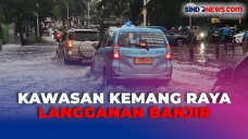 Kawasan Kemang Raya...