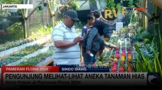 Berburu Aneka Tanaman...