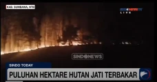 Kebakaran Hanguskan...