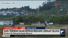 Rasakan Sensasi Dinginnya...