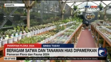 Pameran Flora dan Fauna...