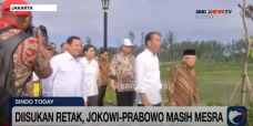 Diisukan Retak, Jokowi-Prabowo...
