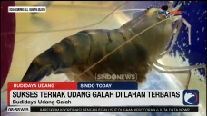 Pria di Sumsel Sukses...