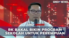 Soal Kesetaraan Gender,...
