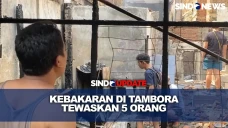 Kebakaran di Tambora...