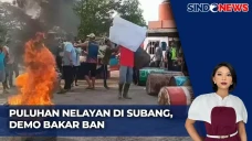 Solar Langka, Puluhan...