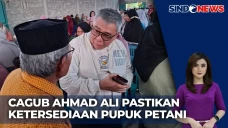 Pilkada Sulteng 2024,...