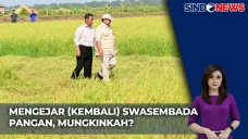 Mengejar Kembali Swasembada...