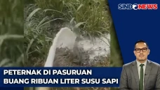 Aksi Kekecewaan, Peternak...