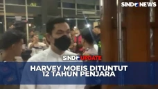 Korupsi Timah, Harvey...