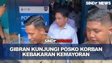 Gibran Bagi-Bagi Susu...
