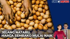 Harga Telur Meroket...