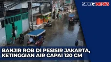 Banjir Rob Kembali Menggenangi...