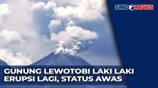 Gunung Lewotobi Meletus,...