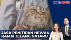Jelang Nataru, Jasa...