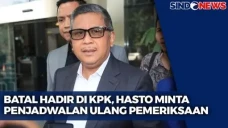 Sibuk Ultah PDIP, Hasto...