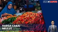 Harga Cabai Rawit Merah...