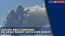 Erupsi Lewotobi Laki-laki,...
