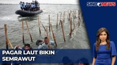 Pembongkaran Pagar Laut...