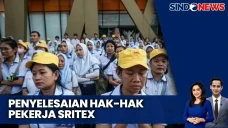 Menaker Pastikan Kurator...