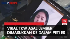 Viral! TKW Dalam Peti...