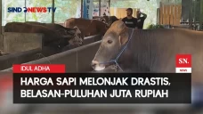 Jelang Hari Raya Kurban,...