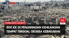 Polisi Selidiki Penyebab...