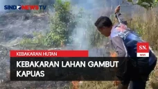 Tiga Hektar Hutan dan...