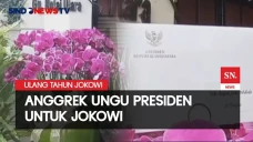 Ulang Tahun, Jokowi...